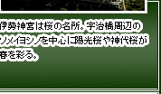 伊勢神宮は桜の名所。宇治橋周辺のソメイヨシノを中心に陽光桜や神代桜が春を彩る。