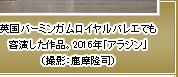 英国バーミンガムロイヤルバレエでも客演した作品。2016年「アラジン」（撮影：鹿摩隆司）