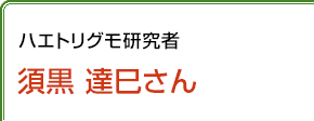 ハエトリグモ研究者 須黒達巳さん