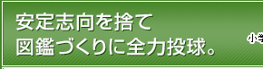 安定志向を捨て図鑑づくりに全力投球。