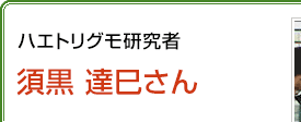 ハエトリグモ研究者 須黒達巳さん