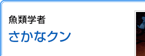 魚類学者 さかなクンさん