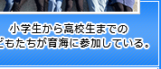 小学生から高校生までの子どもたちが育海に参加している。