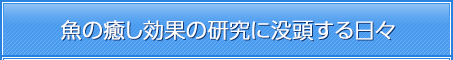魚の癒し効果の研究に没頭する日々