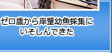 ゼロ歳から岸壁幼魚採集にいそしんできた