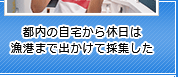 都内の自宅から休日は漁港まで出かけて採集した