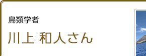 鳥類学者 川上和人さん