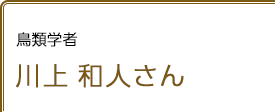 鳥類学者 川上和人さん