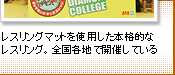 レスリングマットを使用した本格的なレスリング。全国各地で開催している