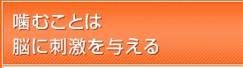 噛むことは脳に刺激を与える