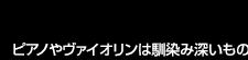 世界に発信するマリンバ奏者 SINSKEさん