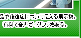 遺品や後遺症について伝える展示物。有料で音声ガイダンスもある。