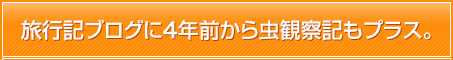 旅行記ブログに4年前から虫観察記もプラス。